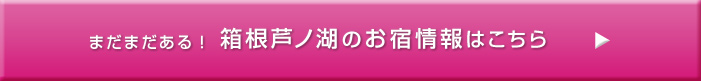 箱根芦ノ湖のお宿情報はこちら