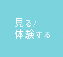 見る/体験する