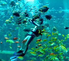 箱根園水族館