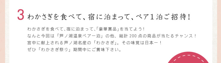 わかさぎを食べて、宿に泊まって、ペア1泊ご紹介！